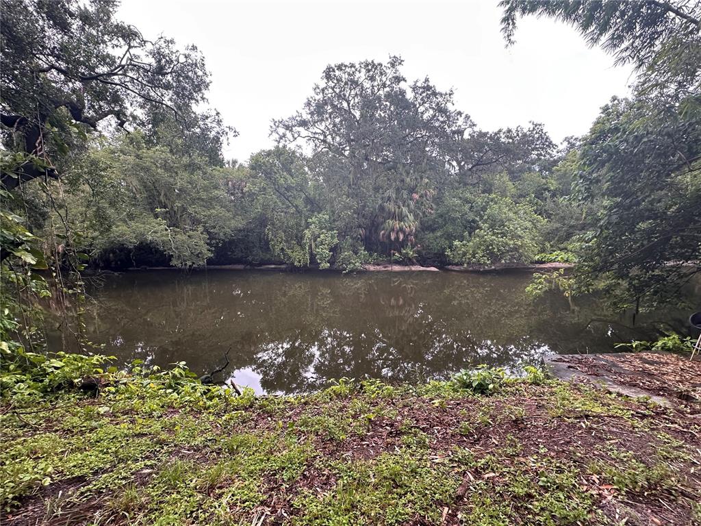A view of a calm, dark pond surrounded by dense trees and lush green vegetation — 1753 E MULBERRY DRIVE, TAMPA, FL