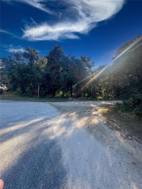 A dirt road leads toward a dense patch of trees under a bright blue sky — 5276 & 5288 N OCEAN SHORE BOULEVARD, PALM COAST, FL