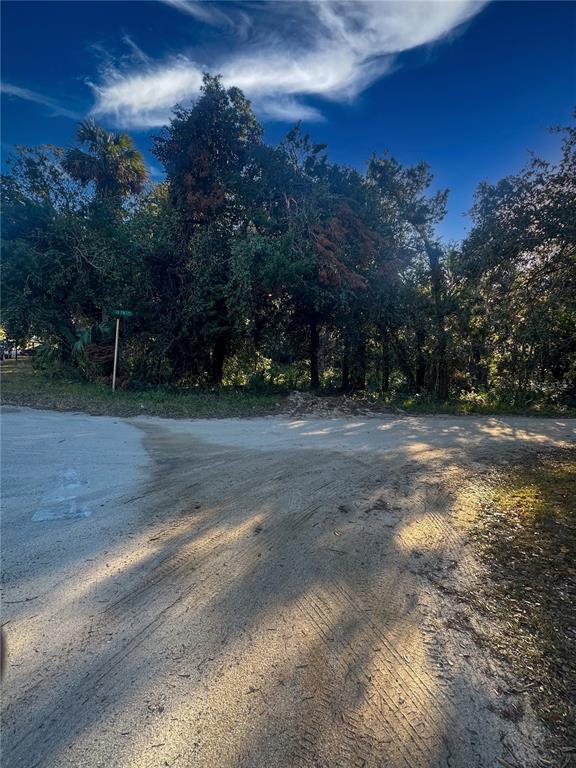 A dirt road leads toward a dense cluster of trees under a bright blue sky — 5276 & 5288 N OCEAN SHORE BOULEVARD, PALM COAST, FL