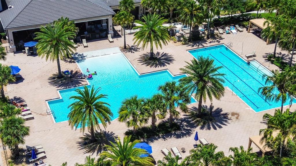 An aerial view of a community swimming pool area surrounded by palm trees and lounge chairs — 30932 LINDENTREE DRIVE, WESLEY CHAPEL, FL