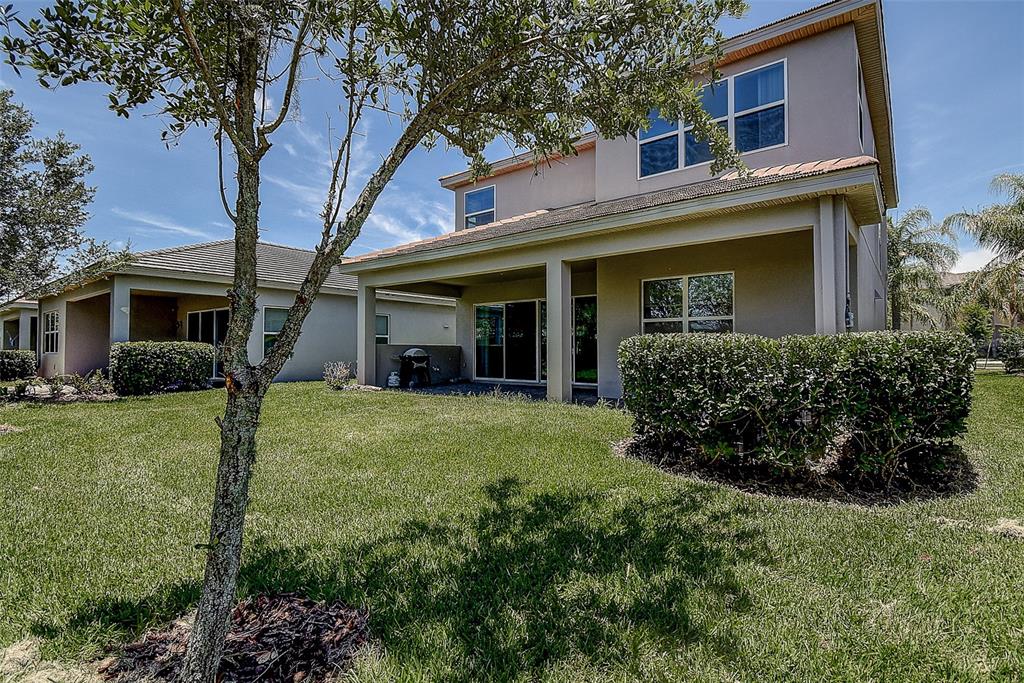 The exterior rear view of a two-story house features a covered patio and lawn — 30932 LINDENTREE DRIVE, WESLEY CHAPEL, FL