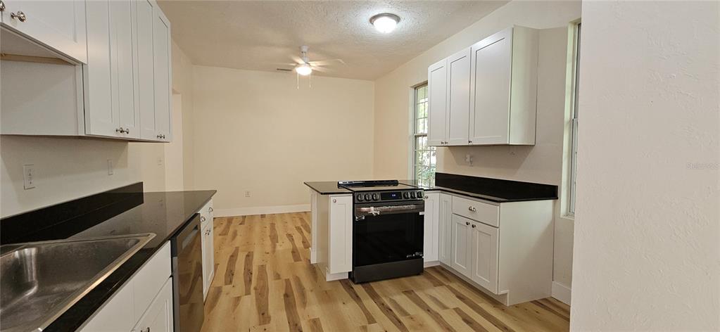 A kitchen features white cabinets, black countertops, a stainless steel oven, and wood-look flooring — 709 S HIGHLAND STREET, MOUNT DORA, FL