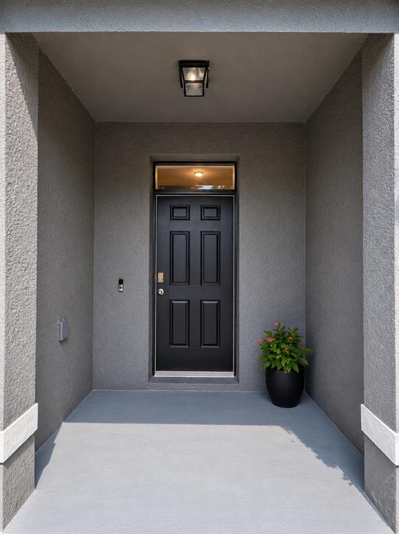 A covered entryway features a black front door, a transom window, and a potted plant — 809 LUCENT SANDS COURT, BRANDON, FL