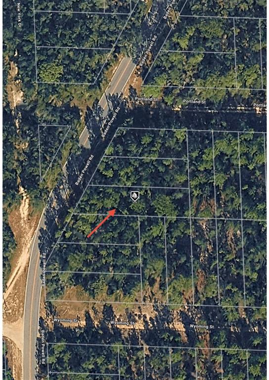 An aerial map view shows a wooded residential lot located along Baden Powell Road — 606 BADEN POWELL ROAD, HAWTHORNE, FL