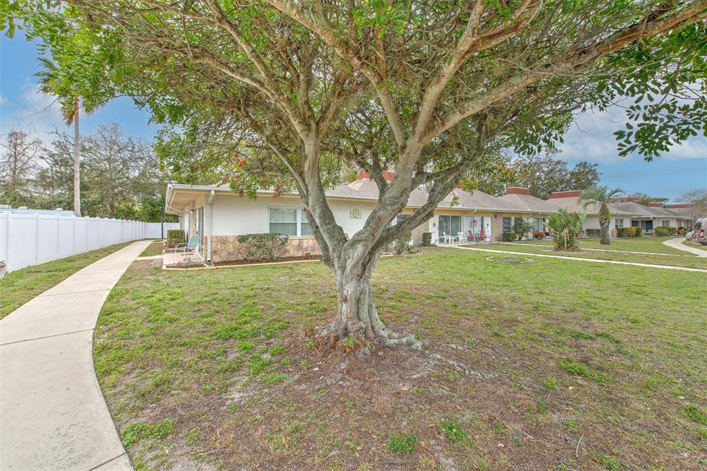 A large tree stands in the front yard of a single-story residential building — 4313 TAHITIAN GARDENS CIRCLE UNIT A, HOLIDAY, FL