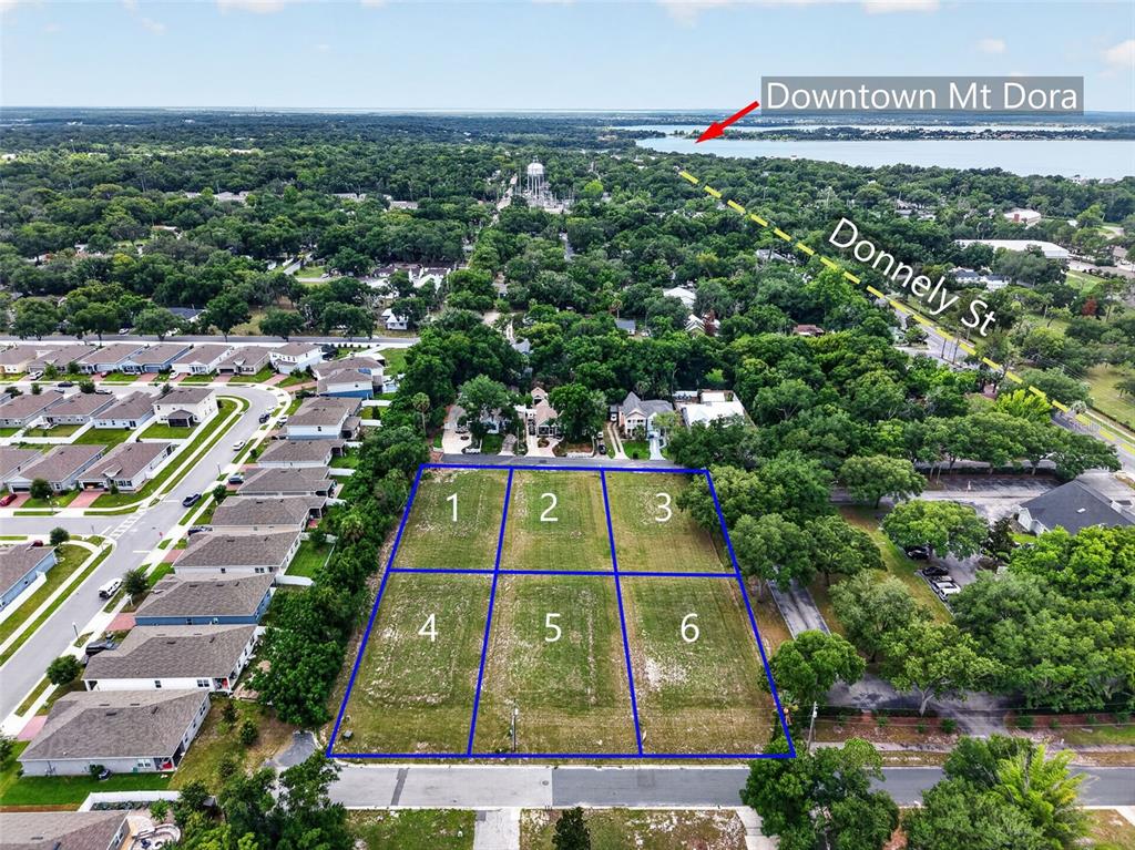 This aerial view shows six vacant rectangular lots outlined in blue near a residential area — FEARON AVE & E 19TH AVE AVENUE UNIT 1-6, MOUNT DORA, FL