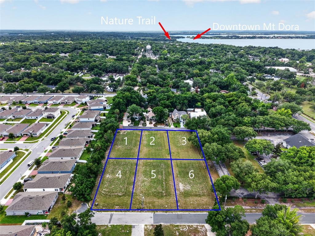 This aerial view shows six vacant rectangular lots outlined in blue near a residential area — FEARON AVE & E 19TH AVE AVENUE UNIT 1-6, MOUNT DORA, FL