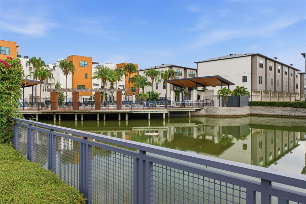 A view of a pond, a pool deck with a pergola, and modern apartment buildings — 2511 N GRADY AVENUE UNIT 23, TAMPA, FL
