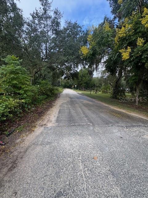 A paved road stretches forward, flanked by lush green trees and foliage under a cloudy sky — 104 FLORADANDY ROAD, HAWTHORNE, FL