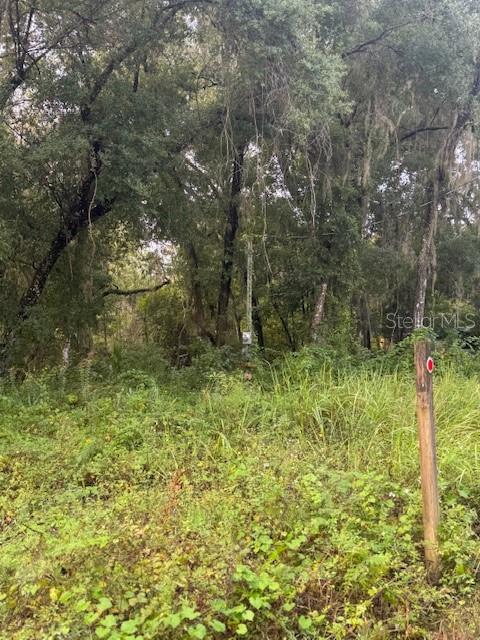 A wooden post with a red marker stands in a wooded, overgrown lot — 104 FLORADANDY ROAD, HAWTHORNE, FL