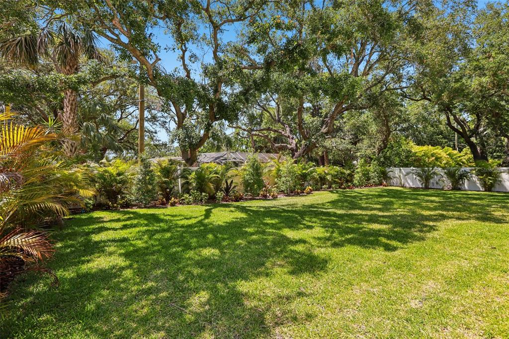 A grassy backyard features mature trees, a white privacy fence, and various tropical landscaping plants — 3013 S WEST SHORE BOULEVARD, TAMPA, FL