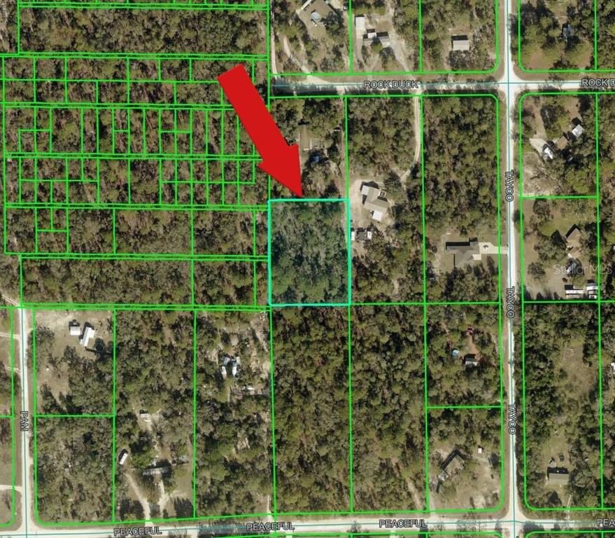 An aerial map view shows a highlighted vacant lot surrounded by trees and residential streets — PEACEFUL AVENUE, WEEKI WACHEE, FL