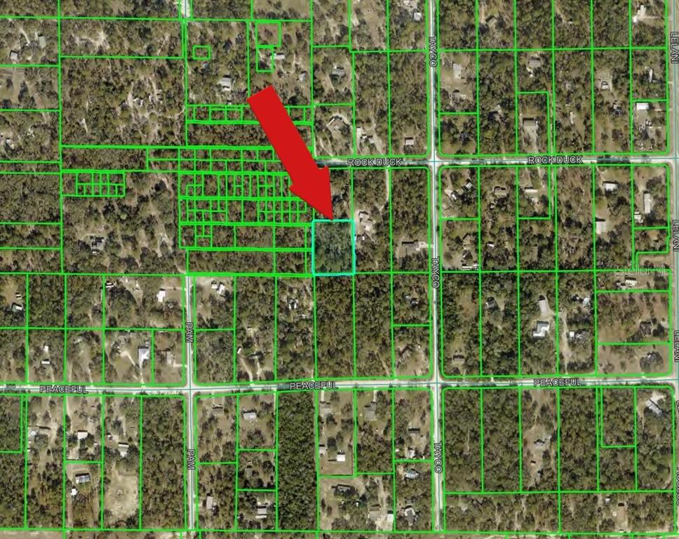 An aerial map view shows a highlighted rectangular land parcel located near a road intersection — PEACEFUL AVENUE, WEEKI WACHEE, FL