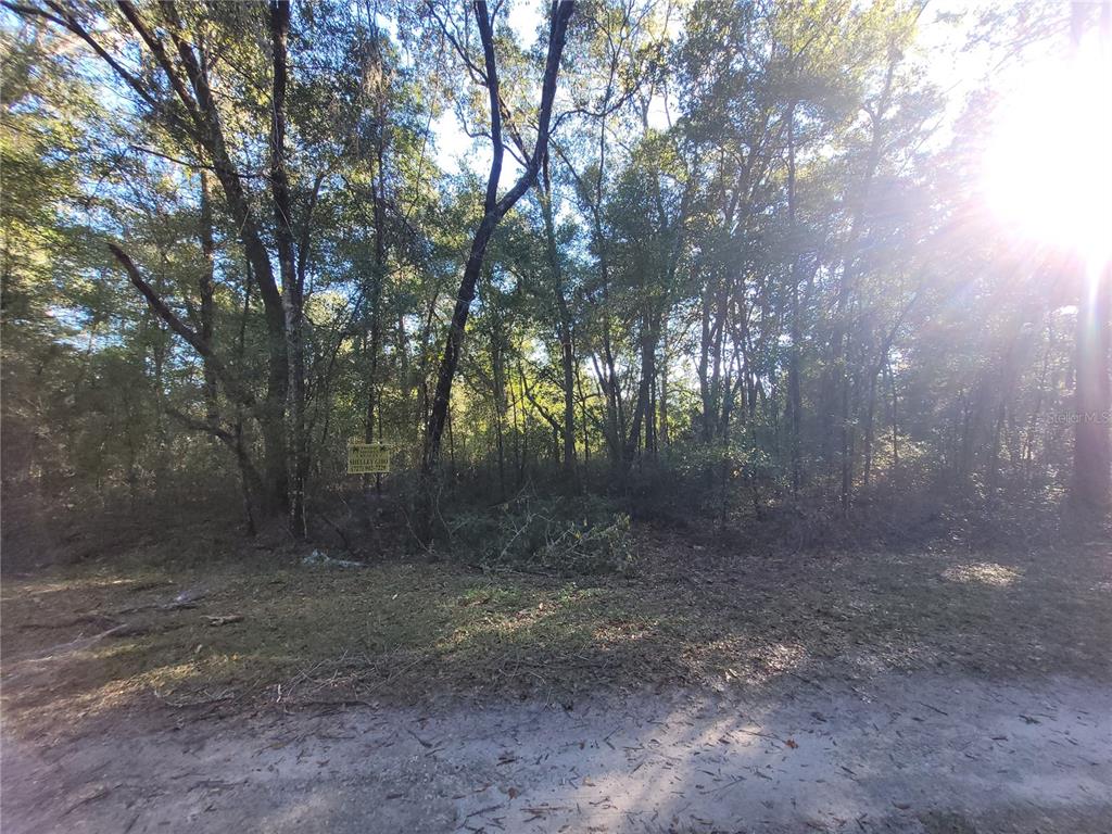 A wooded, undeveloped lot features a real estate sign among the trees and brush — 0 SW 22ND PLACE, OCALA, FL