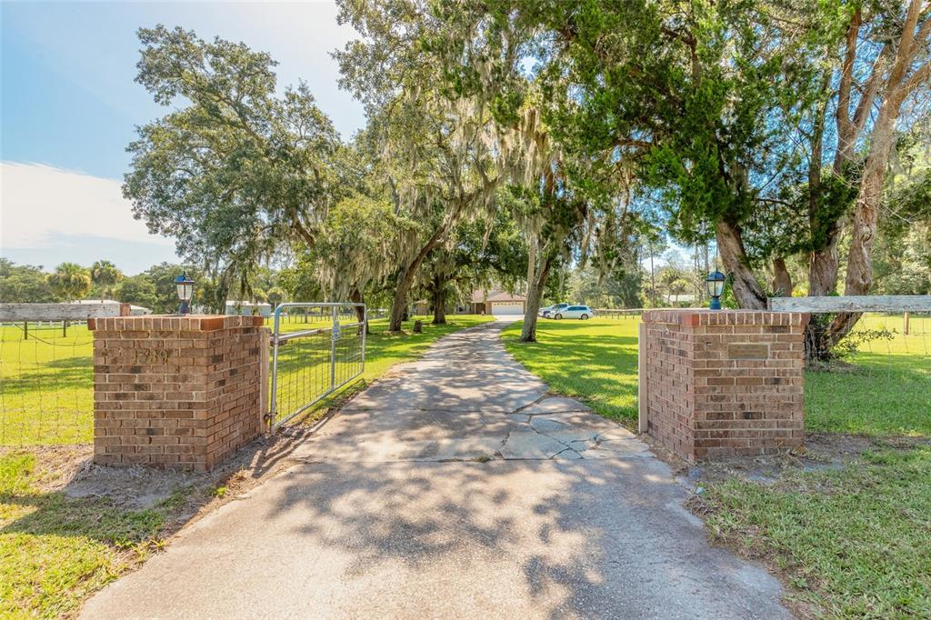 A concrete driveway leads through a brick-pillared gate toward a house under large oak trees — 1389 WILLIAMS ROAD, NEW SMYRNA BEACH, FL