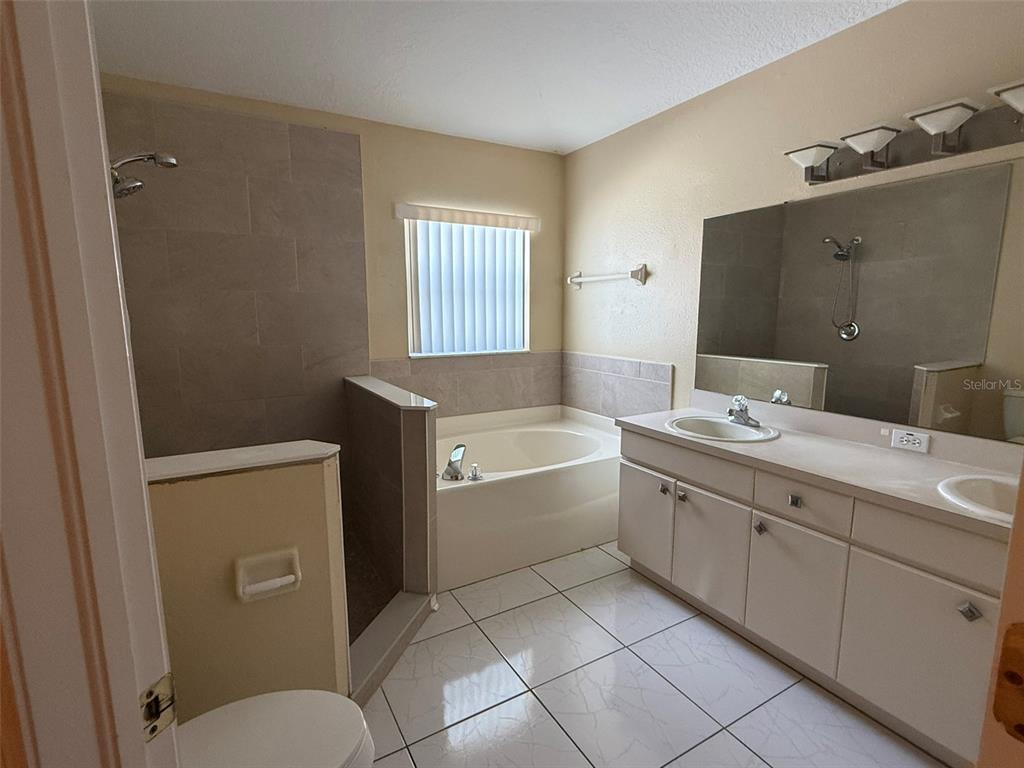 A bathroom features a double vanity, a soaking tub, and a separate tiled shower — 4707 RAMSHEAD DRIVE, VALRICO, FL