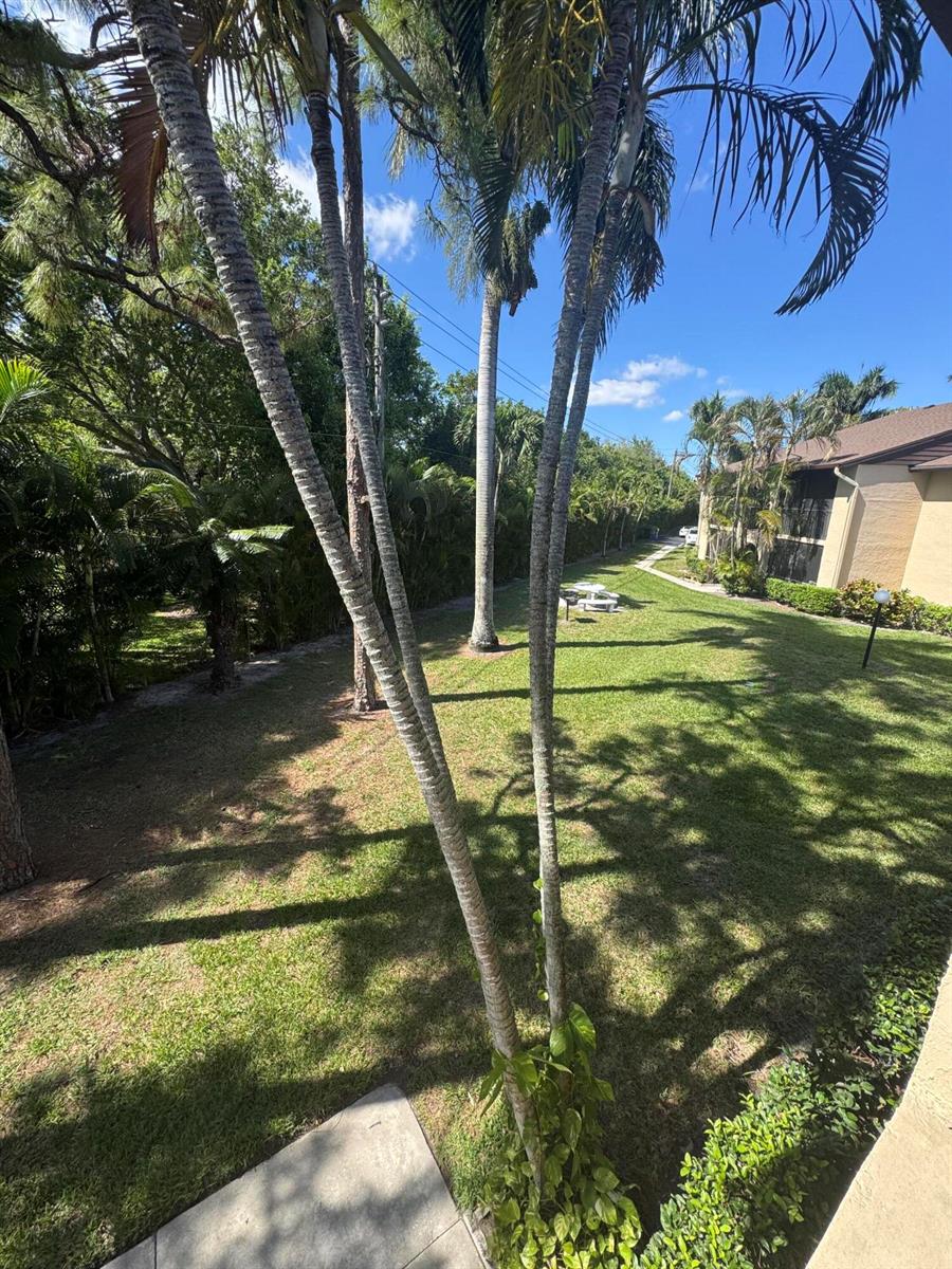 A view from a balcony overlooking a grassy lawn with palm trees and a building — 435 Pine Glen Lane # 2, FL 33463, FL