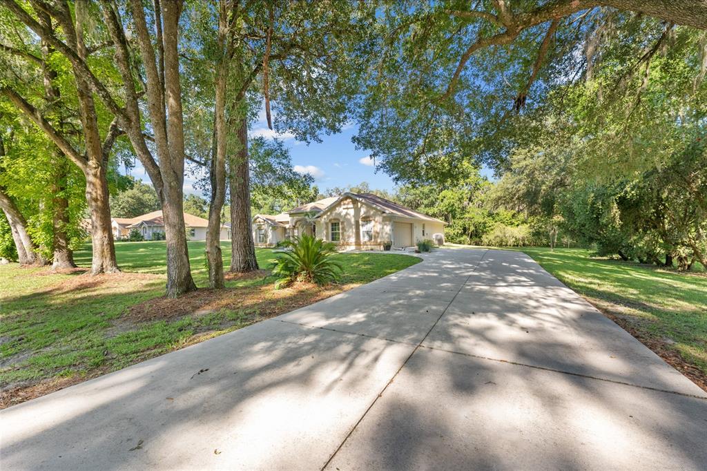 A long concrete driveway leads to a single-story house surrounded by large, mature trees — 5248 NW 82ND COURT, OCALA, FL