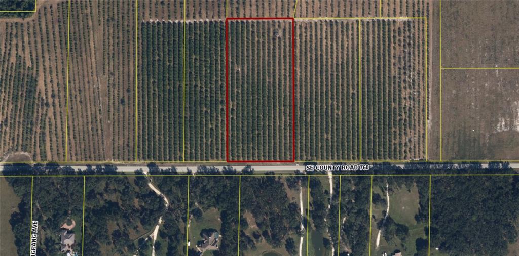 An aerial view shows a rectangular plot of land planted with rows of citrus trees — 5081 SE CREEKSIDE LANE, ARCADIA, FL