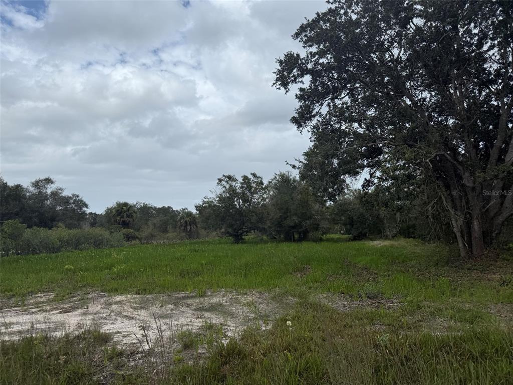 17915 NW 290TH STREET