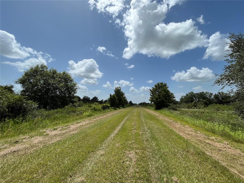 A mowed grass path leads through an open field under a bright blue sky — 17915 NW 290TH STREET, OKEECHOBEE, FL