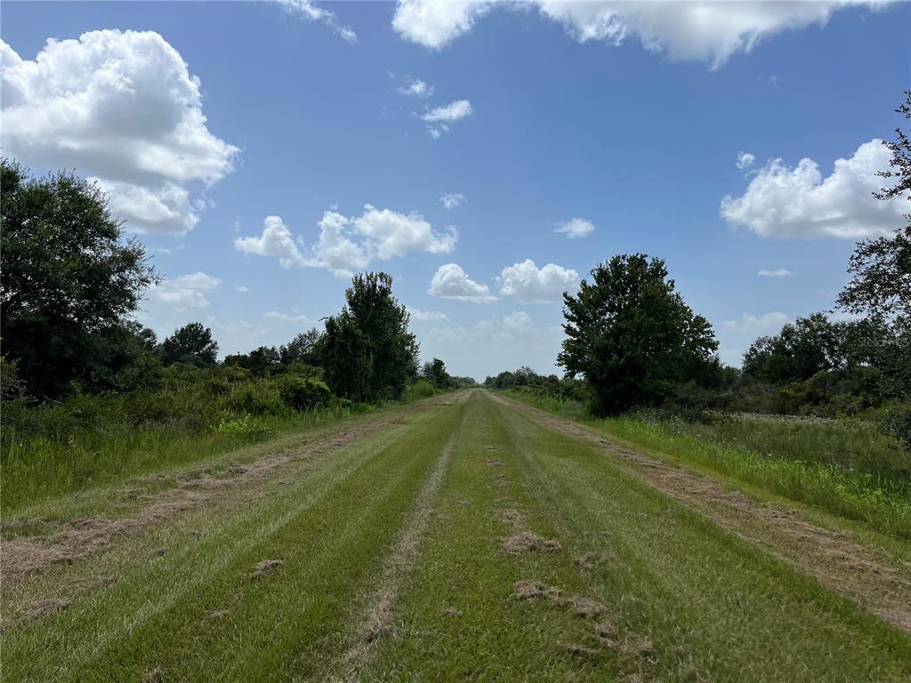 A mowed path stretches through a grassy field bordered by trees under a cloudy sky — 17915 NW 290TH STREET, OKEECHOBEE, FL