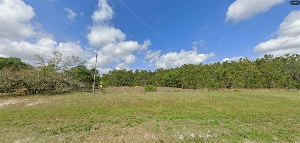 A grassy, vacant lot features a utility pole and a dense line of trees behind it — COMMANWEALTH AVE N, POLK CITY, FL