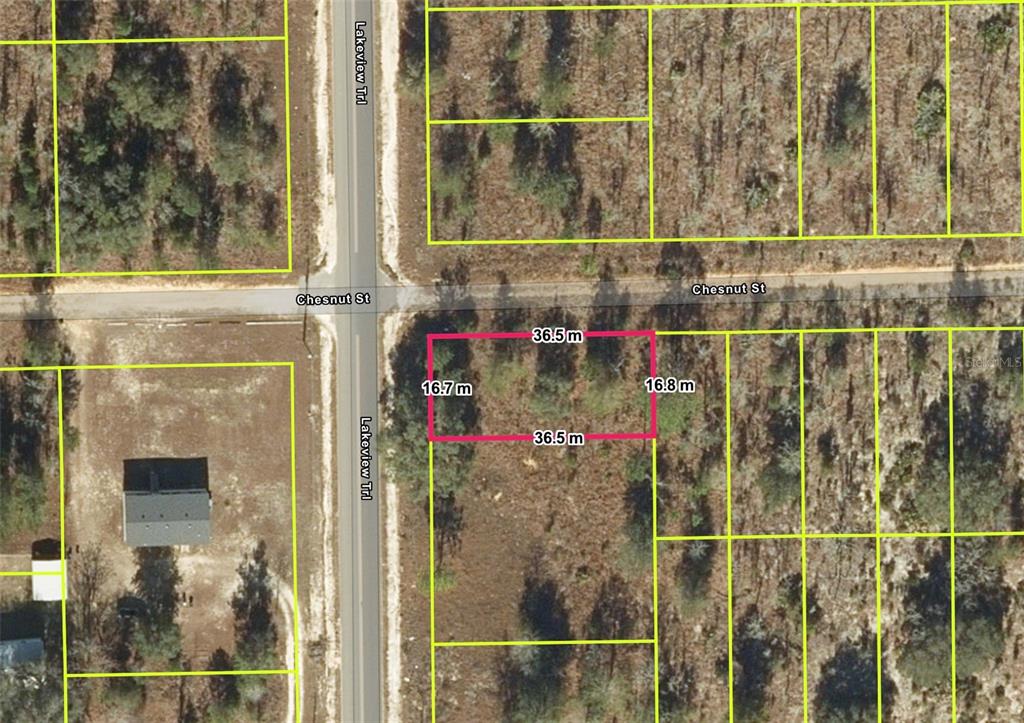 An aerial map shows a rectangular plot of land highlighted in pink with dimensions — 1107 LAKEVIEW TRAIL, INTERLACHEN, FL