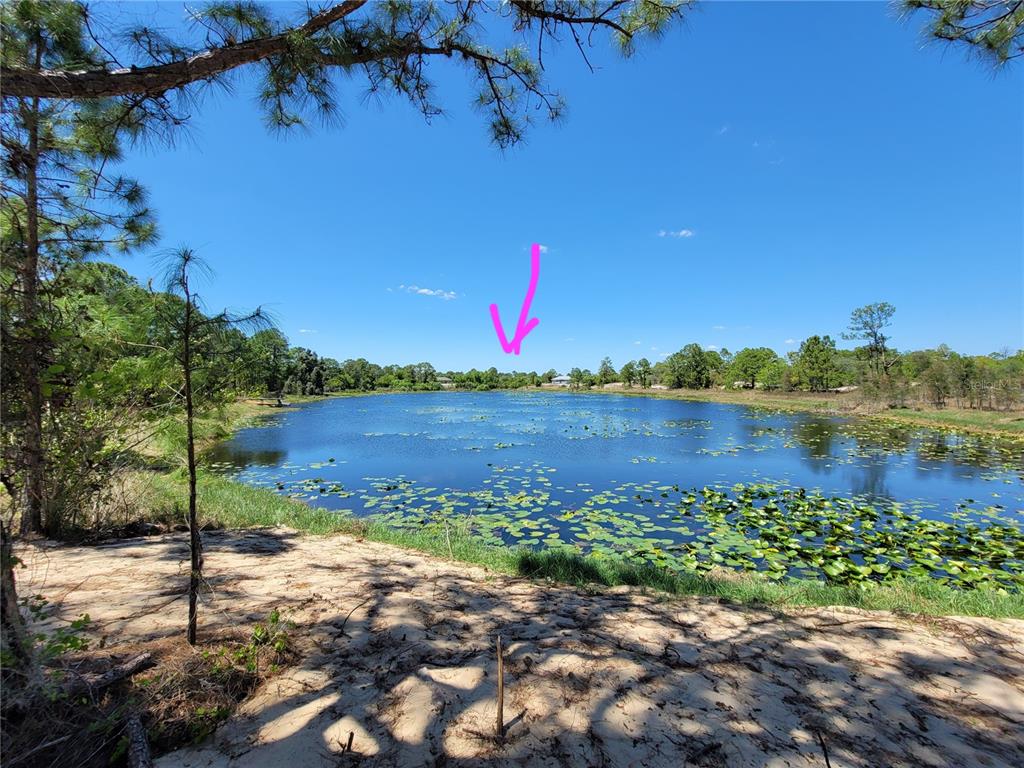 A sandy bank overlooks a pond filled with lily pads under a clear blue sky — 433 GLORIA BOULEVARD, LAKE PLACID, FL