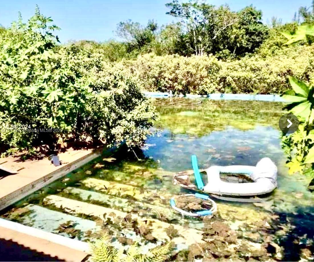 An overgrown, neglected swimming pool filled with murky water and debris sits outdoors — 312 St, Homestead FL 33033, HOMESTEAD, FL