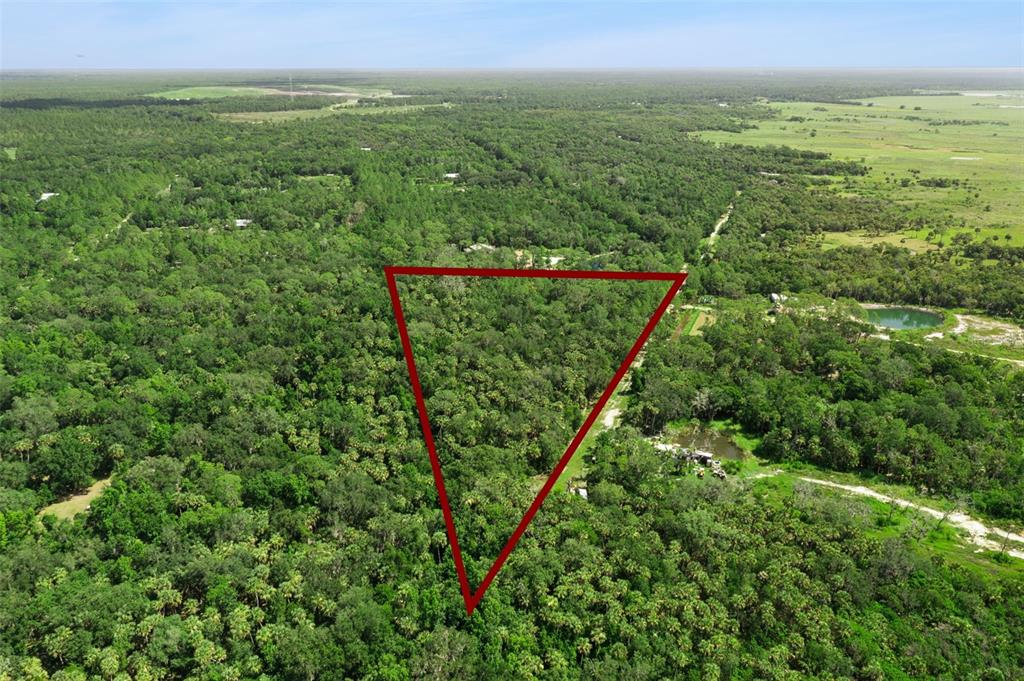 An aerial view shows a triangular red outline superimposed over a dense, wooded forest area — 2401 CANVASBACK TRAIL, GENEVA, FL
