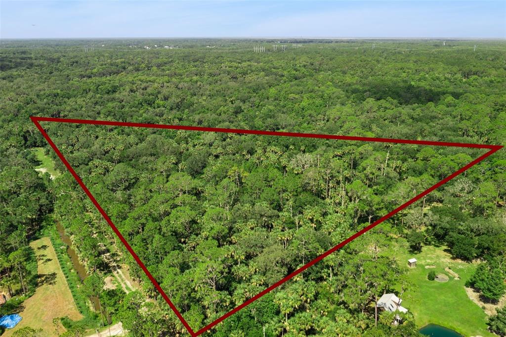 An aerial view shows a triangular red outline superimposed over a dense, wooded forest area — 2401 CANVASBACK TRAIL, GENEVA, FL