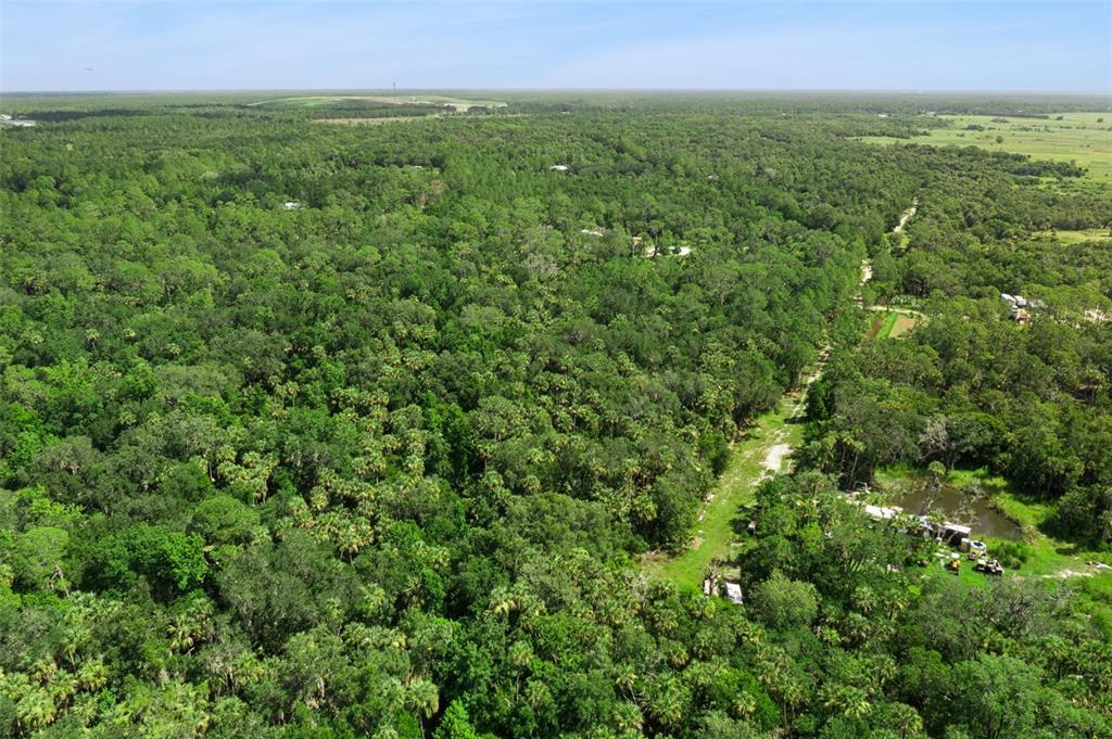 An aerial view shows a dense forest with a dirt path and a small pond — 2401 CANVASBACK TRAIL, GENEVA, FL