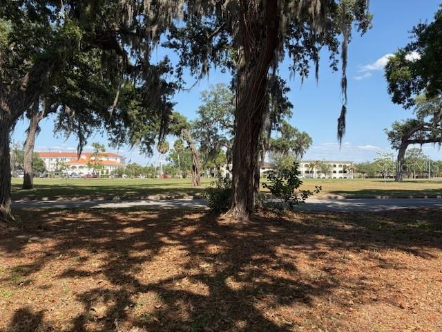 A grassy field with large oak trees and distant buildings under a blue sky — 112 N LOCKMOOR AVENUE, TEMPLE TERRACE, FL