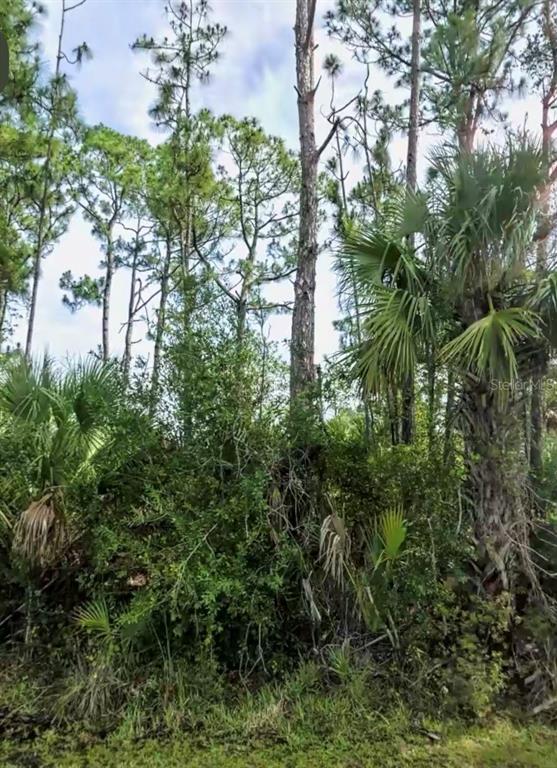 Lot 17 DONATELLO AVENUE
