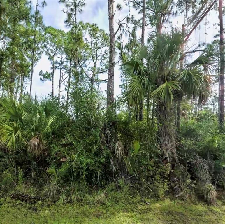 Lot 17 DONATELLO AVENUE, NORTH PORT, FL — photo 5 of 5
