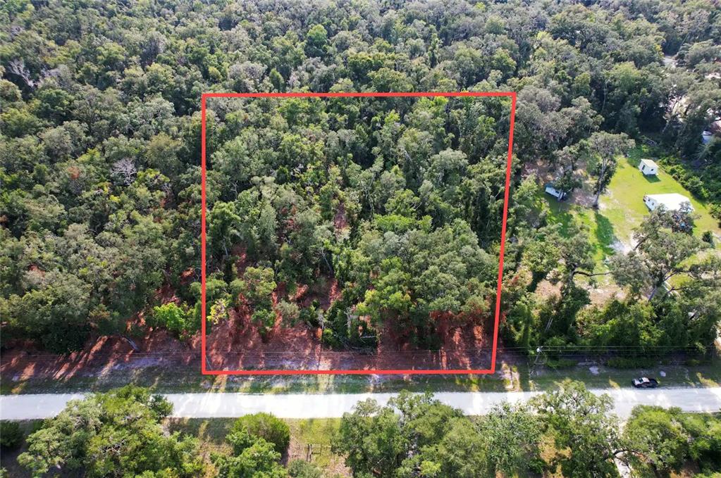An aerial view shows a rectangular, wooded plot of land bordered by a dirt road — 1615 NE 497TH STREET, OLD TOWN, FL