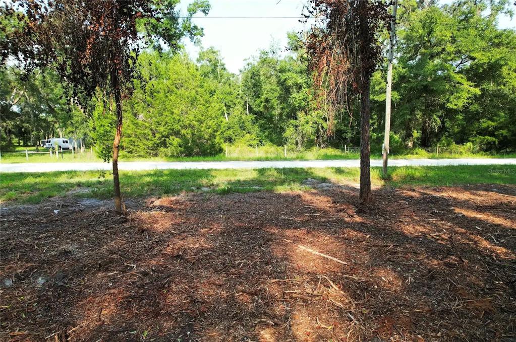 A view of a wooded lot with a dirt foreground and a gravel road beyond — 1615 NE 497TH STREET, OLD TOWN, FL