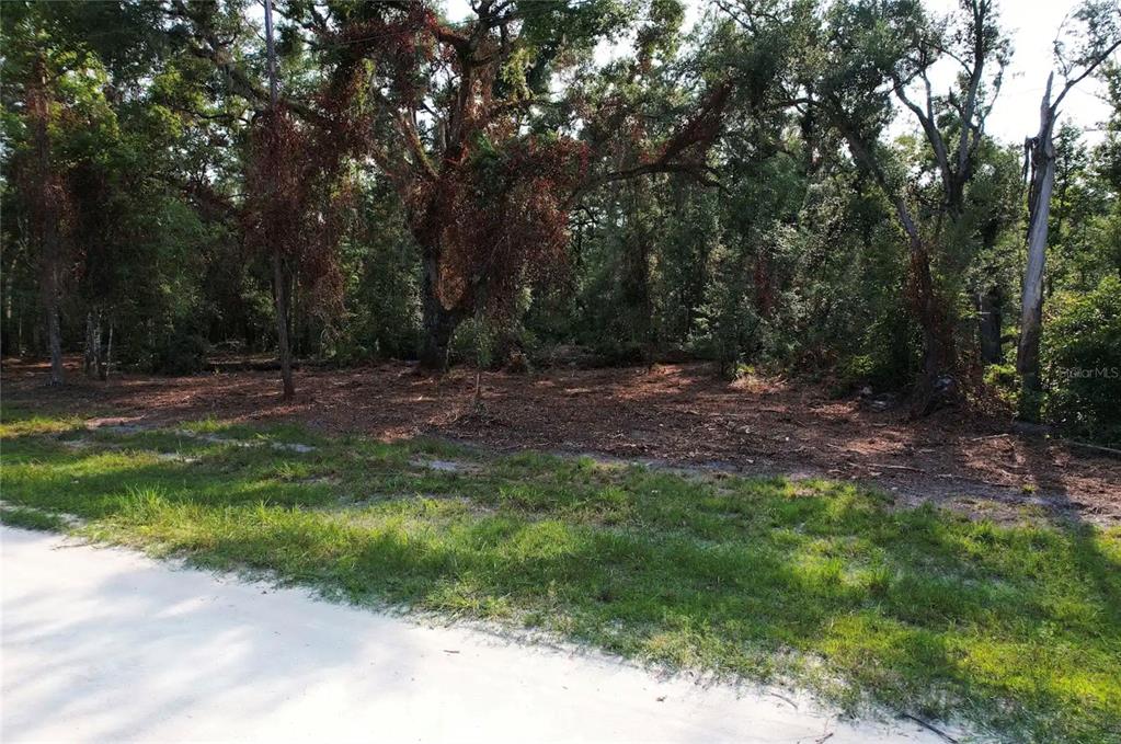 A cleared, wooded lot sits adjacent to a sandy road under a canopy of trees — 1615 NE 497TH STREET, OLD TOWN, FL
