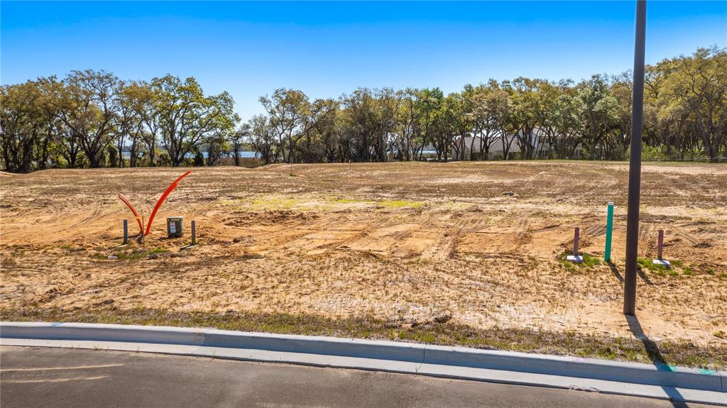 MARIGOLD BELLE CIRCLE, CLERMONT, FL — photo 2 of 22