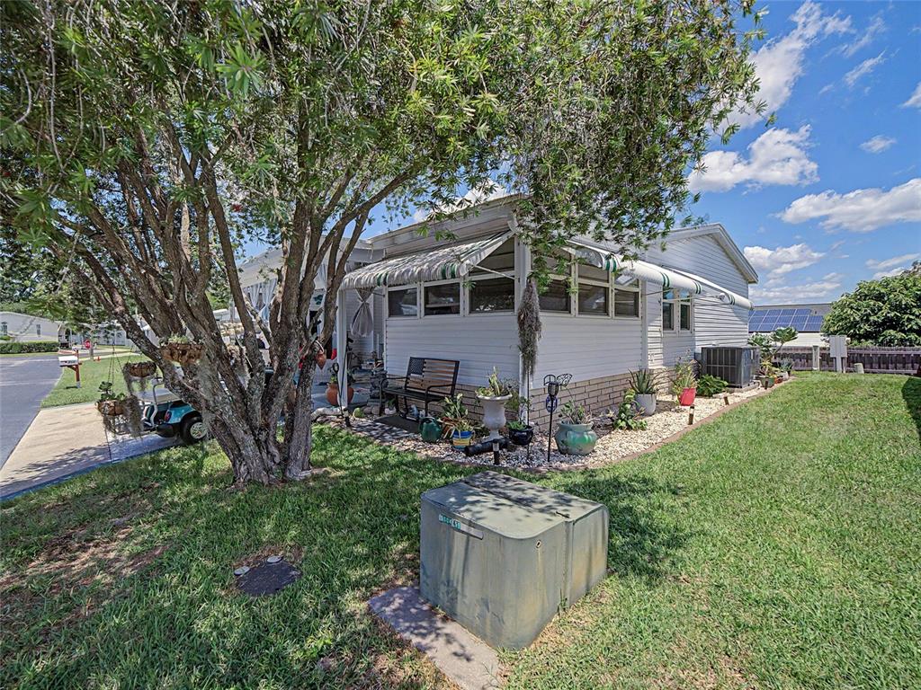 A white mobile home with a screened porch sits behind a large tree and lawn — 37513 CAMPO AVENUE, ZEPHYRHILLS, FL