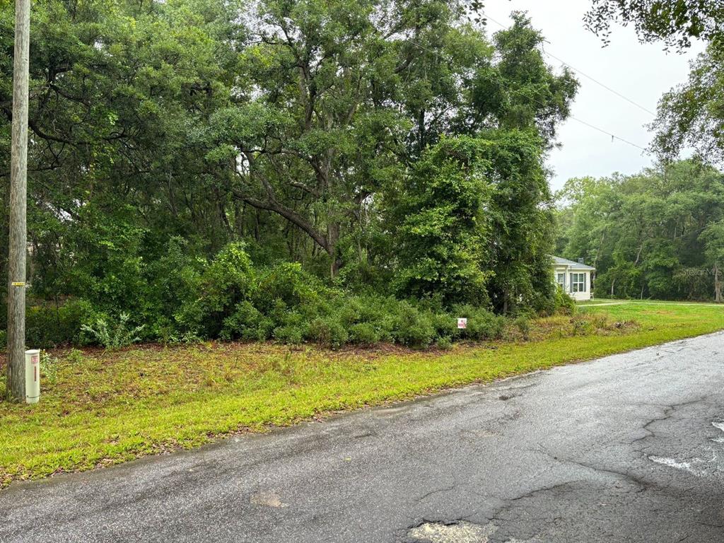 A paved road runs alongside a wooded, undeveloped lot with a small house in the distance — 11 FISHER WAY COURSE, OCKLAWAHA, FL