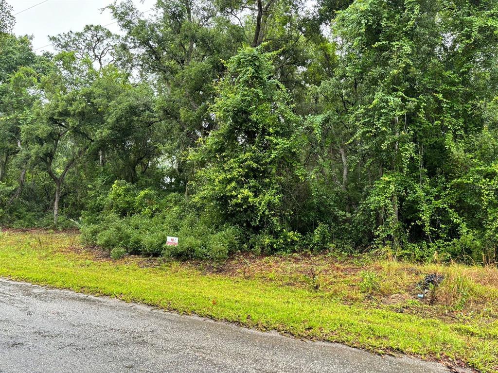 A wooded, undeveloped lot with a small sign sits beside a paved road — 11 FISHER WAY COURSE, OCKLAWAHA, FL