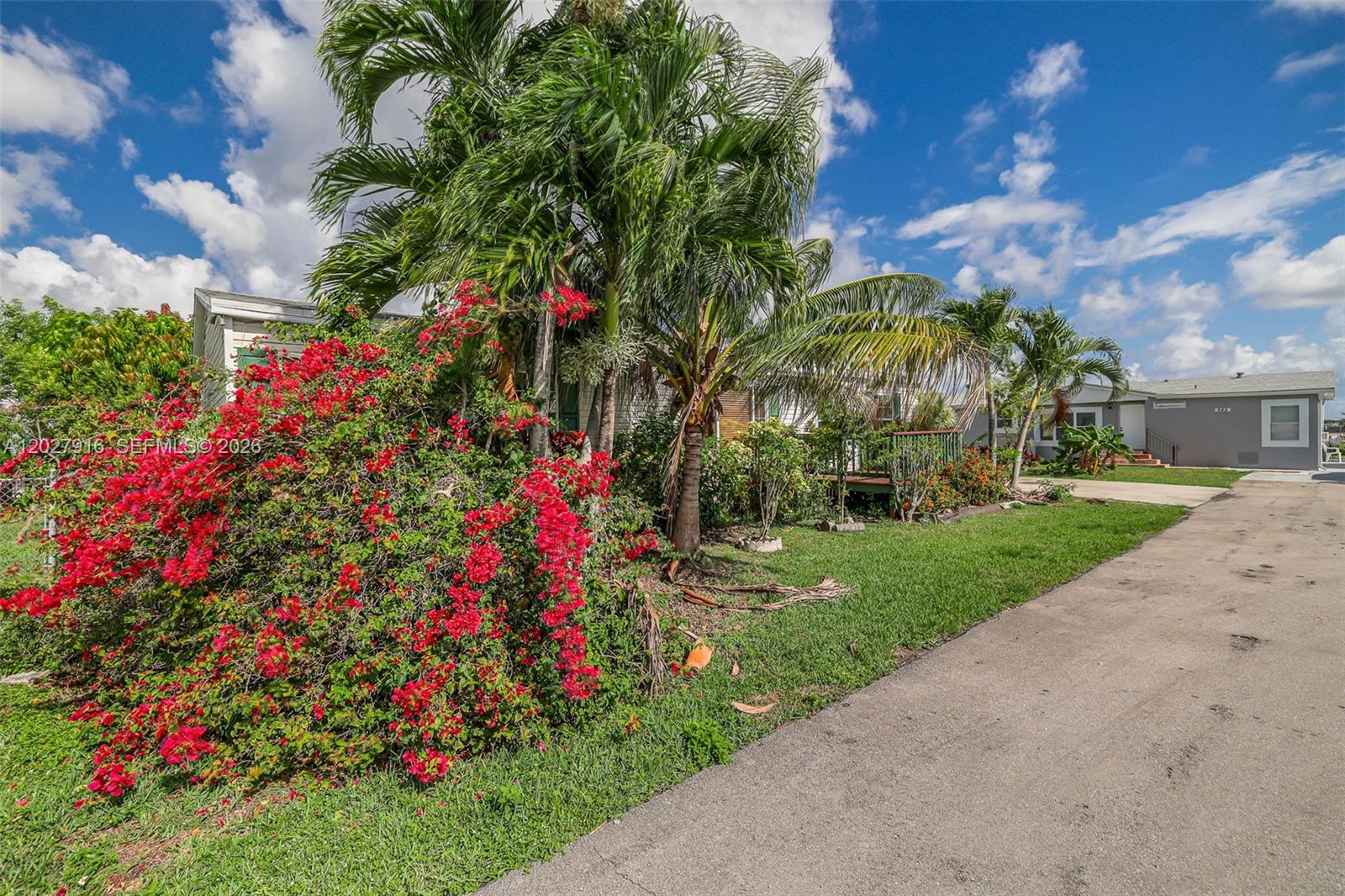 A large bougainvillea bush sits in front of a house with palm trees and driveway — 19800 SW 180 avenue #524, Miami FL 33187, MIAMI, FL