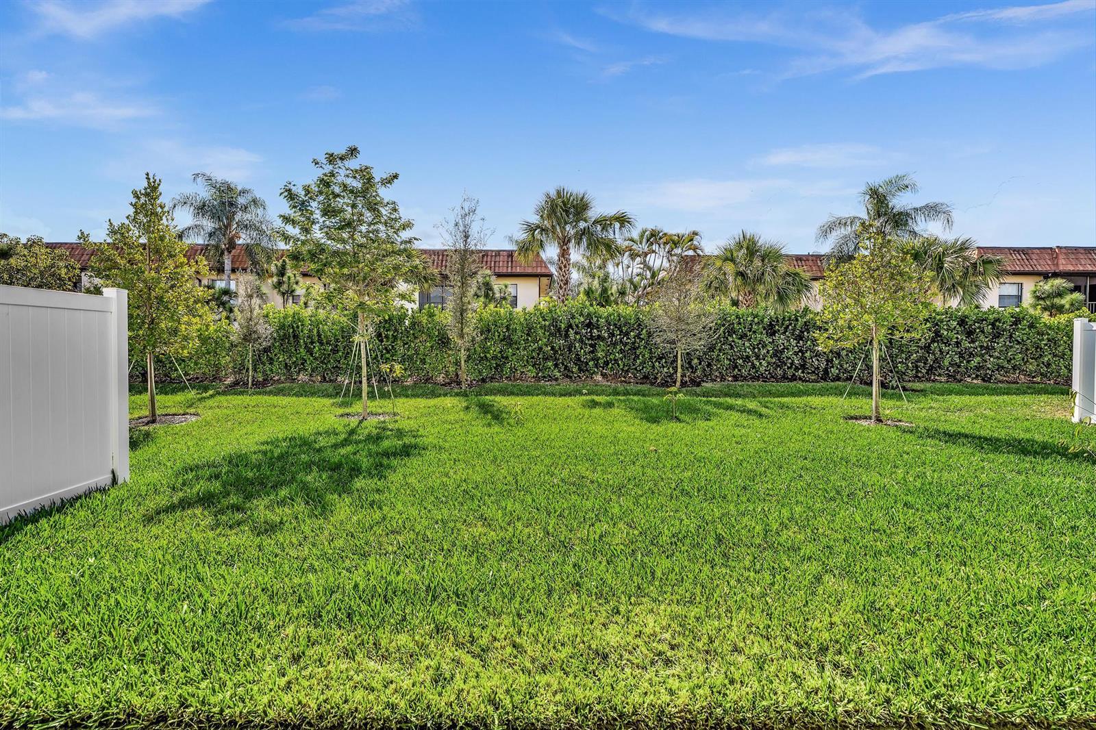 A grassy backyard features young trees, a white privacy fence, and a hedge-lined perimeter — 7268 Lenora Lane, Lake Worth FL 33467, LAKE WORTH, FL