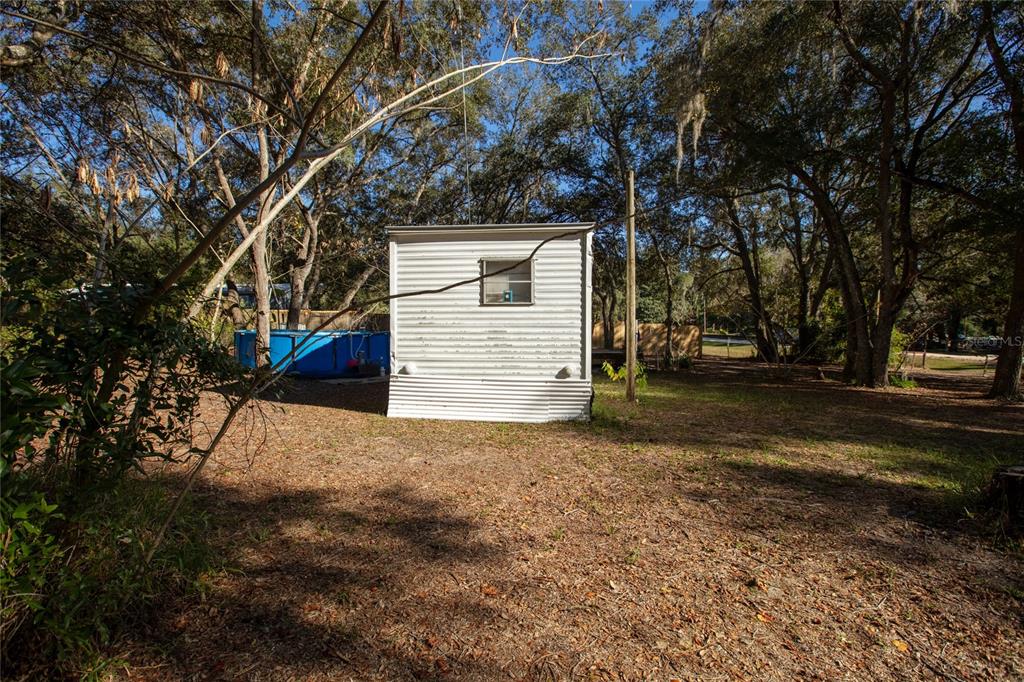 A white metal shed stands in a wooded yard next to a blue above-ground pool — 270 BAY STREET, HAWTHORNE, FL