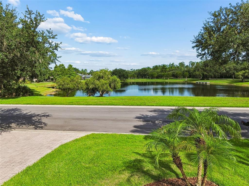 A view of a pond and green lawn from a paved driveway with palm trees — 354 ROCK SPRINGS DRIVE, KISSIMMEE, FL