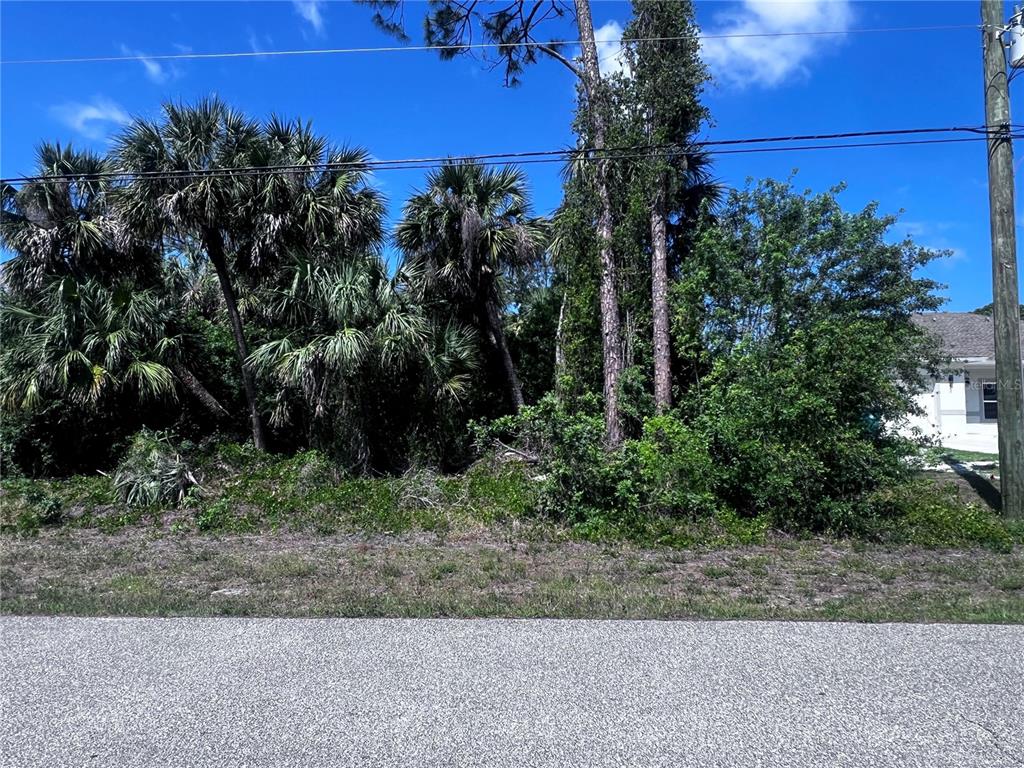 A vacant, wooded residential lot sits alongside a paved road under a blue sky — 449 FLAMINGO BOULEVARD, PORT CHARLOTTE, FL