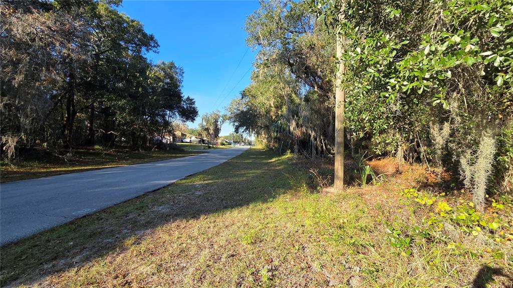 A paved road runs alongside a wooded lot with a utility pole in the foreground — 3009 PARMA DRIVE, DELTONA, FL