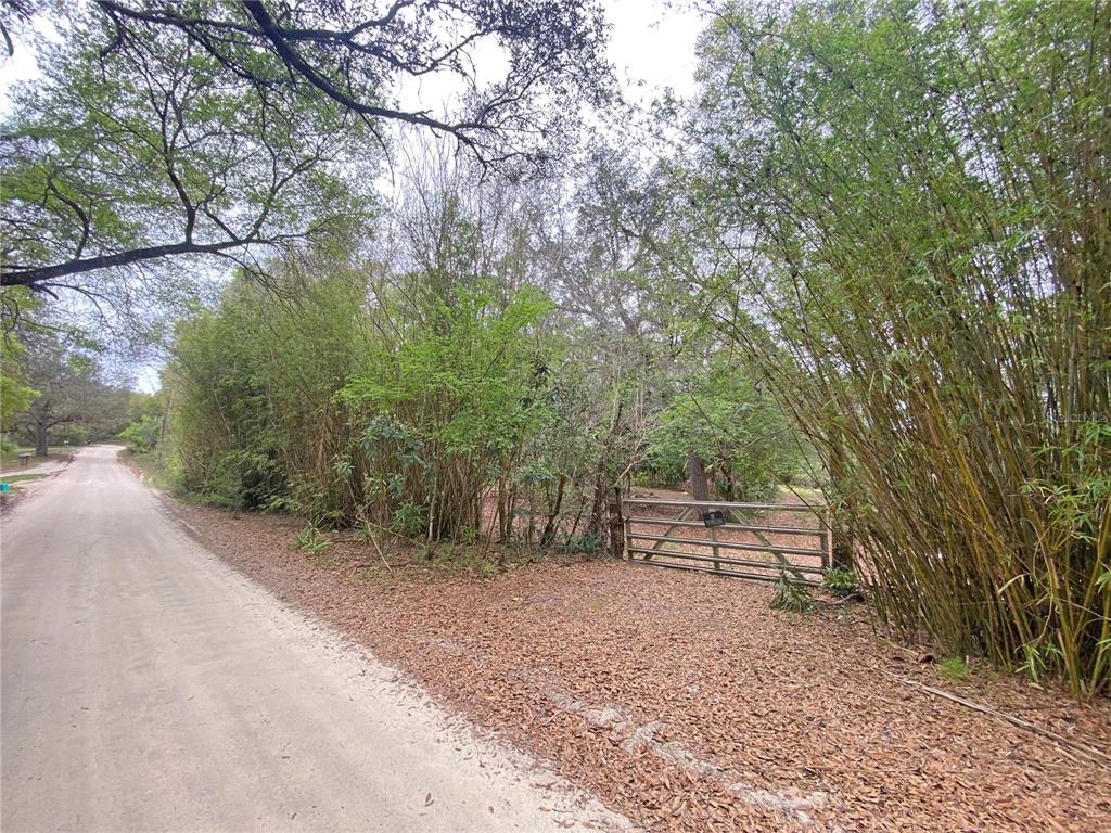 A dirt road runs alongside a wooded lot featuring a metal gate and bamboo — 119 TWIN LAKES ROAD, HAWTHORNE, FL
